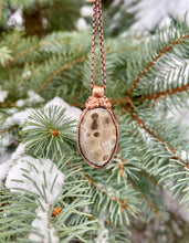 Load image into Gallery viewer, Petoskey Stone Necklace