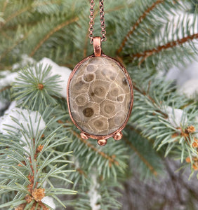 Beautiful Petoskey Stone Necklace