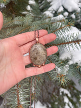 Load image into Gallery viewer, Beautiful Petoskey Stone Necklace