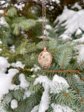 Load image into Gallery viewer, Petoskey Stone Necklace