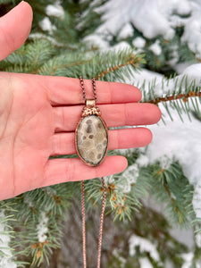 Petoskey Stone Necklace