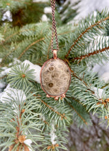 Load image into Gallery viewer, Beautiful Petoskey Stone Necklace