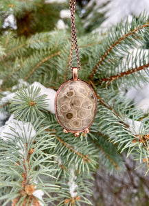 Beautiful Petoskey Stone Necklace