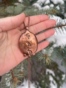 Beautiful Petoskey Stone Necklace