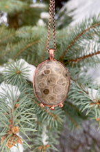 Load image into Gallery viewer, Beautiful Petoskey Stone Necklace