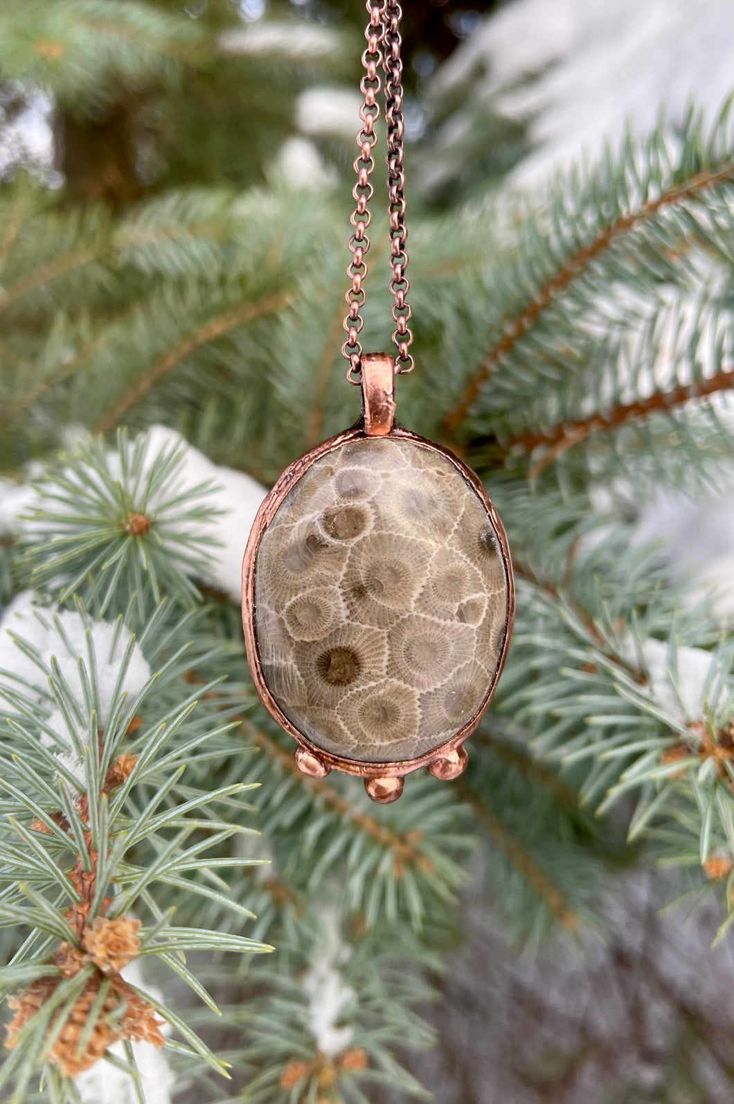 Beautiful Petoskey Stone Necklace