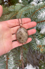 Load image into Gallery viewer, Beautiful Petoskey Stone Necklace