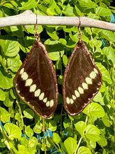Load image into Gallery viewer, Real Butterfly Wing Earrings #3