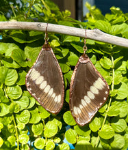 Load image into Gallery viewer, Real Butterfly Wing Earrings #3