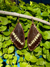 Load image into Gallery viewer, Real Butterfly Wing Earrings #3