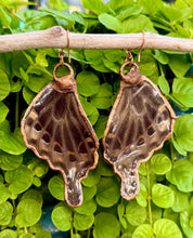 Load image into Gallery viewer, Real Butterfly Wing Earrings #5