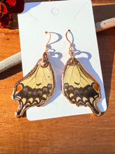 Load image into Gallery viewer, Real Butterfly Wing Earrings #6