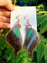 Load image into Gallery viewer, Real Butterfly Wing Earrings #5