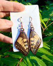 Load image into Gallery viewer, Real Butterfly Wing Earrings #2