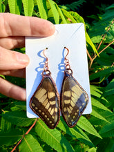 Load image into Gallery viewer, Real Butterfly Wing Earrings #2