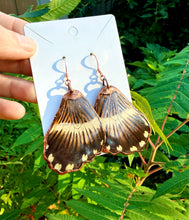 Load image into Gallery viewer, Real Butterfly Wing Earrings #7