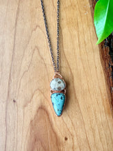 Load image into Gallery viewer, Stunning Petoskey Stone and Leland Blue Necklace