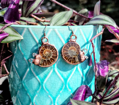 Ammonite and Quartz Earrings