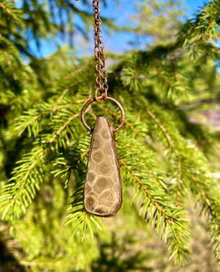 Petoskey Stone and Copper Necklace