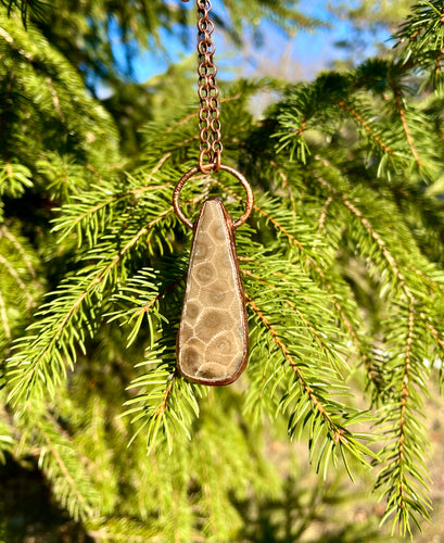 Petoskey Stone and Copper Necklace