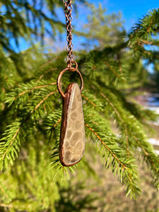 Petoskey Stone and Copper Necklace